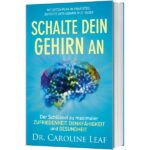 Schalte dein gehirn