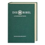 Standard grün groß