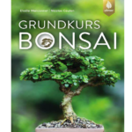 bonsai